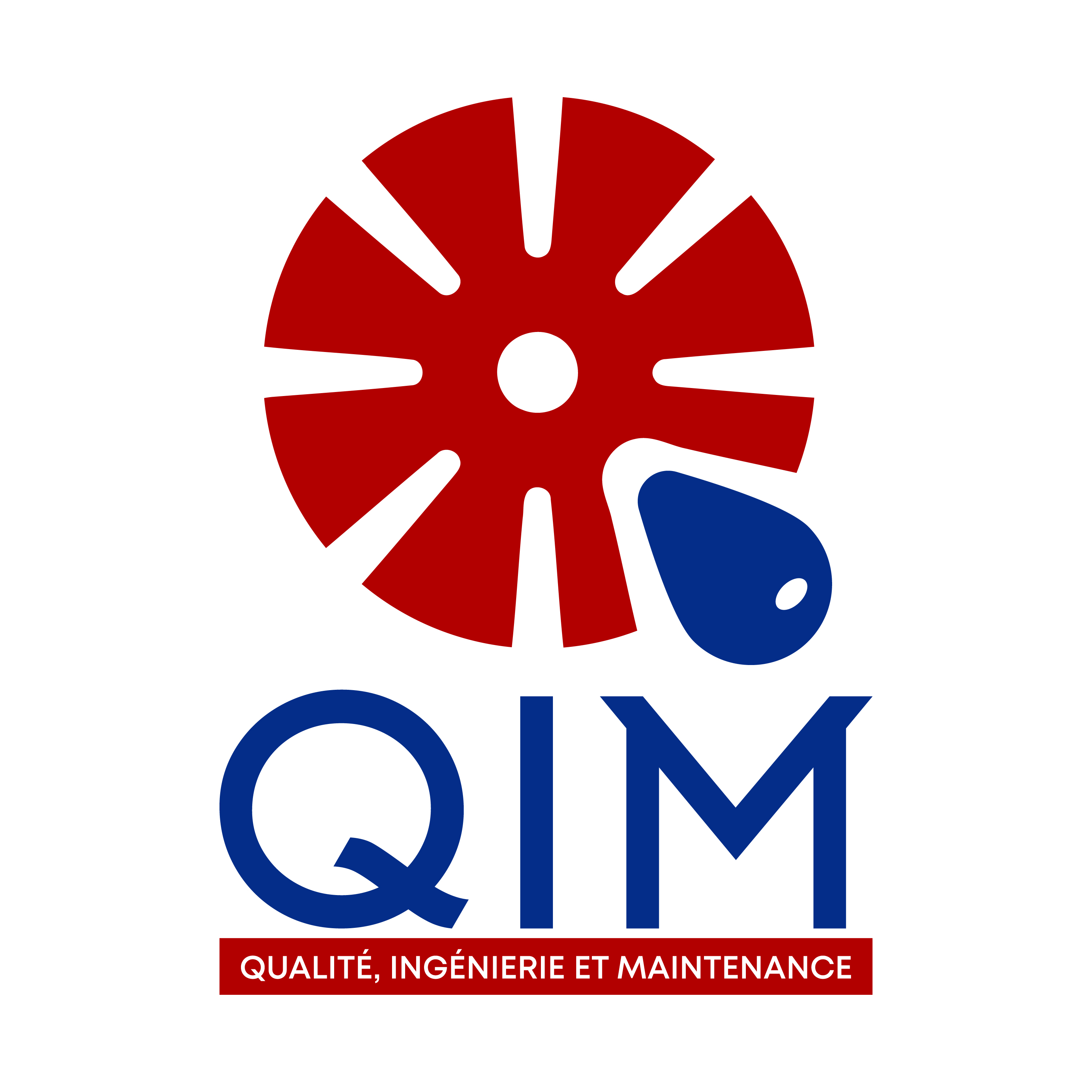 Logo officiel QIM